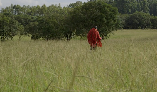 man-wearing-red-in-field