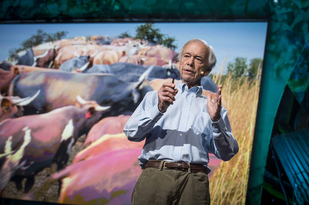 allan ted talk