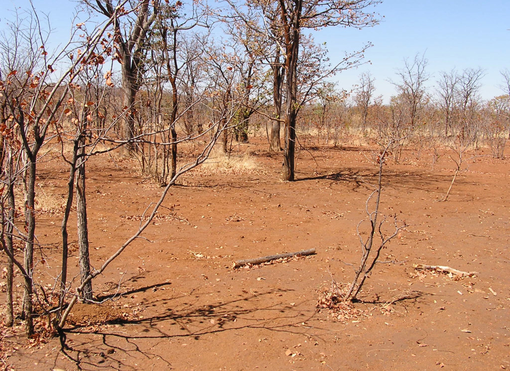 Zimbabwe (before)