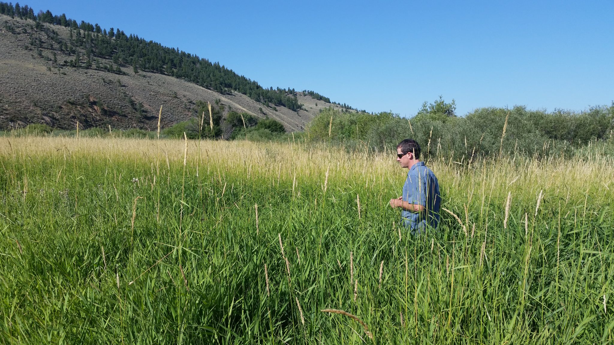 Regenerating grasslands with the Savory Institute