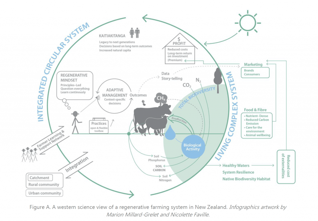 Diagram showing an integrated circular system of living systems research in agriculture
