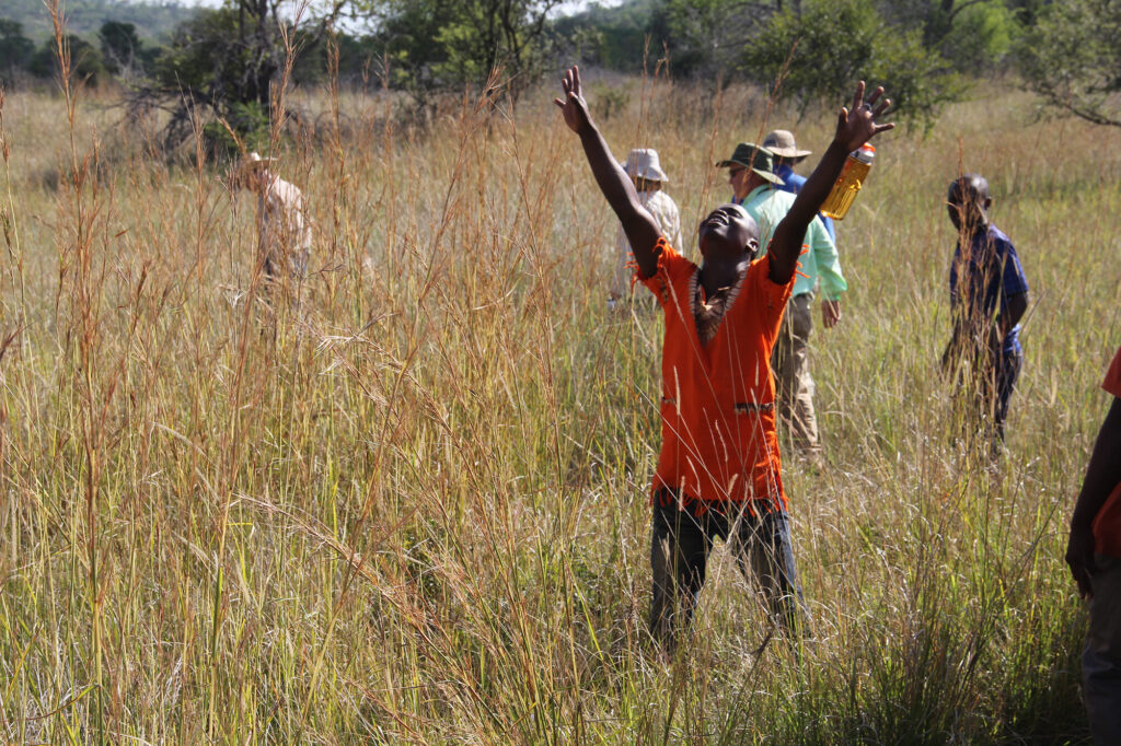 Person standing in tall grass with hands in the air in celebration