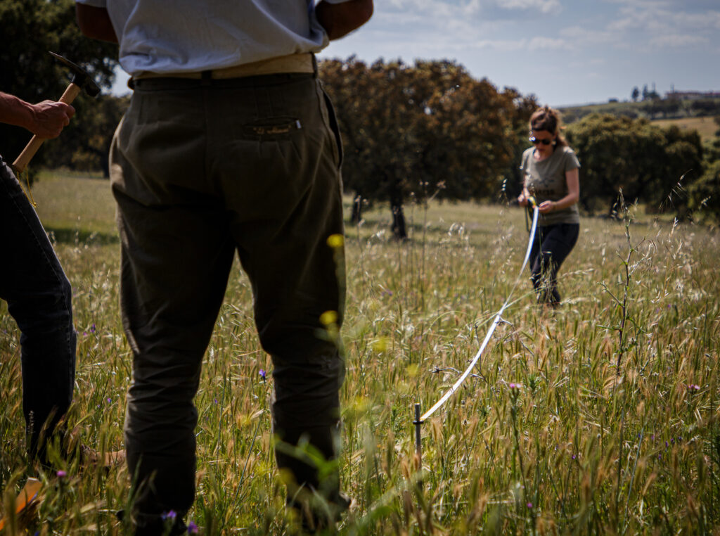 Ecological Outcome Verification in process