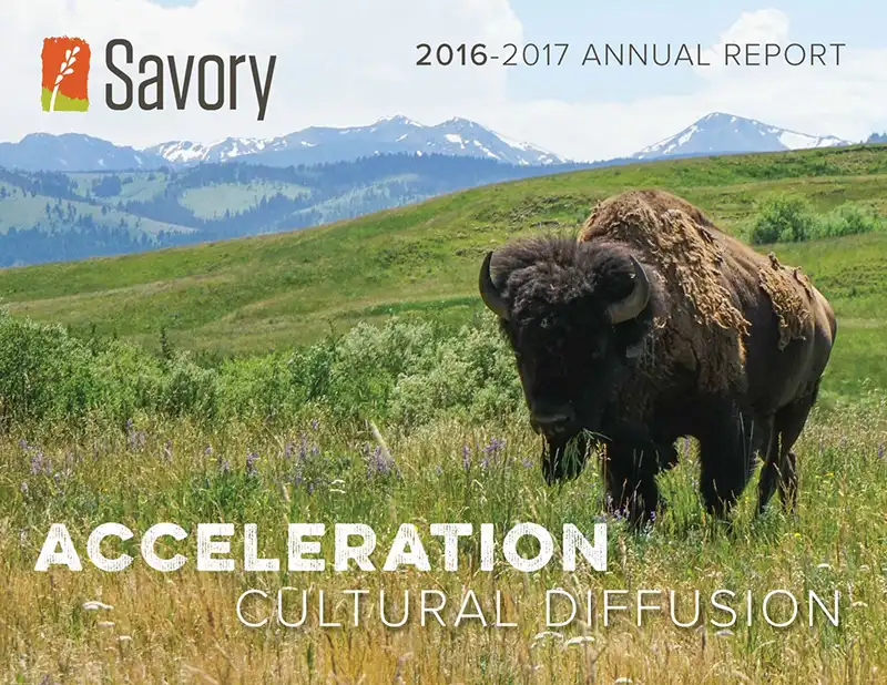 Acceleration - Savory Institute Financials & Annual Report - 2016-2017