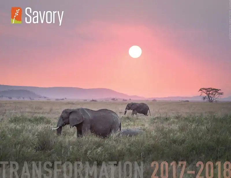 Transformation - Savory Institute Financials & Annual Report - 2017-2018