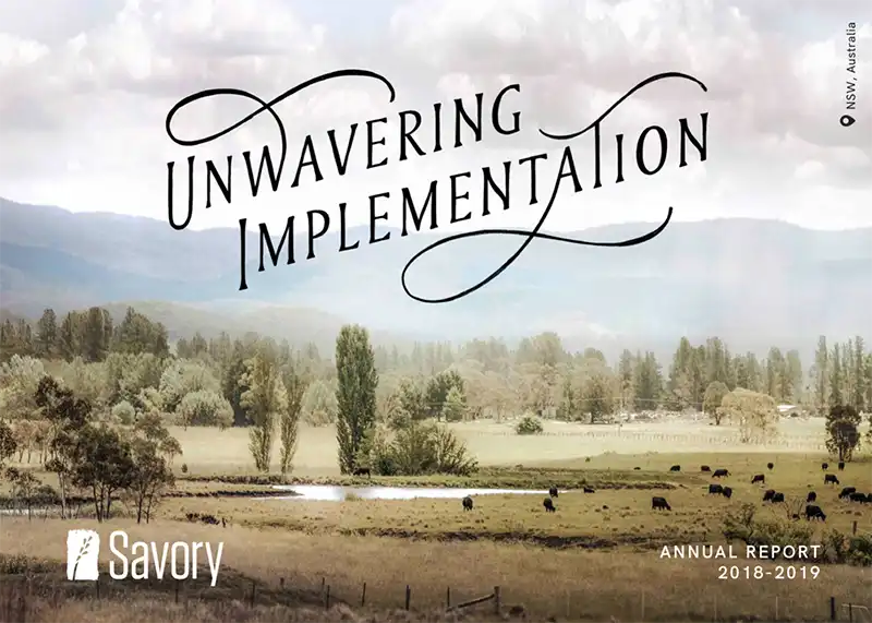 Unwavering Implementation - Savory Institute Financials & Annual Report - 2018-2019
