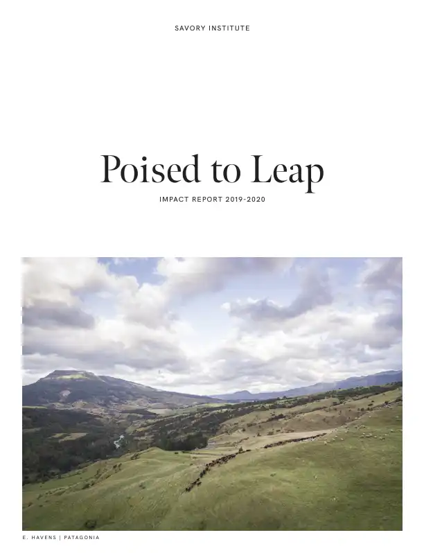 Poised to Leap - Savory Institute Financials & Annual Report - 2019-2020