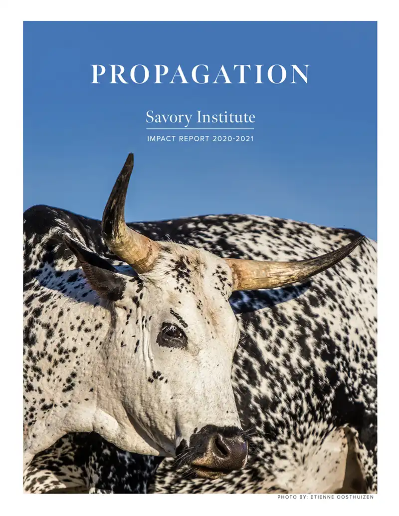 Propagation - Savory Institute Financials & Annual Report - 2020-2021