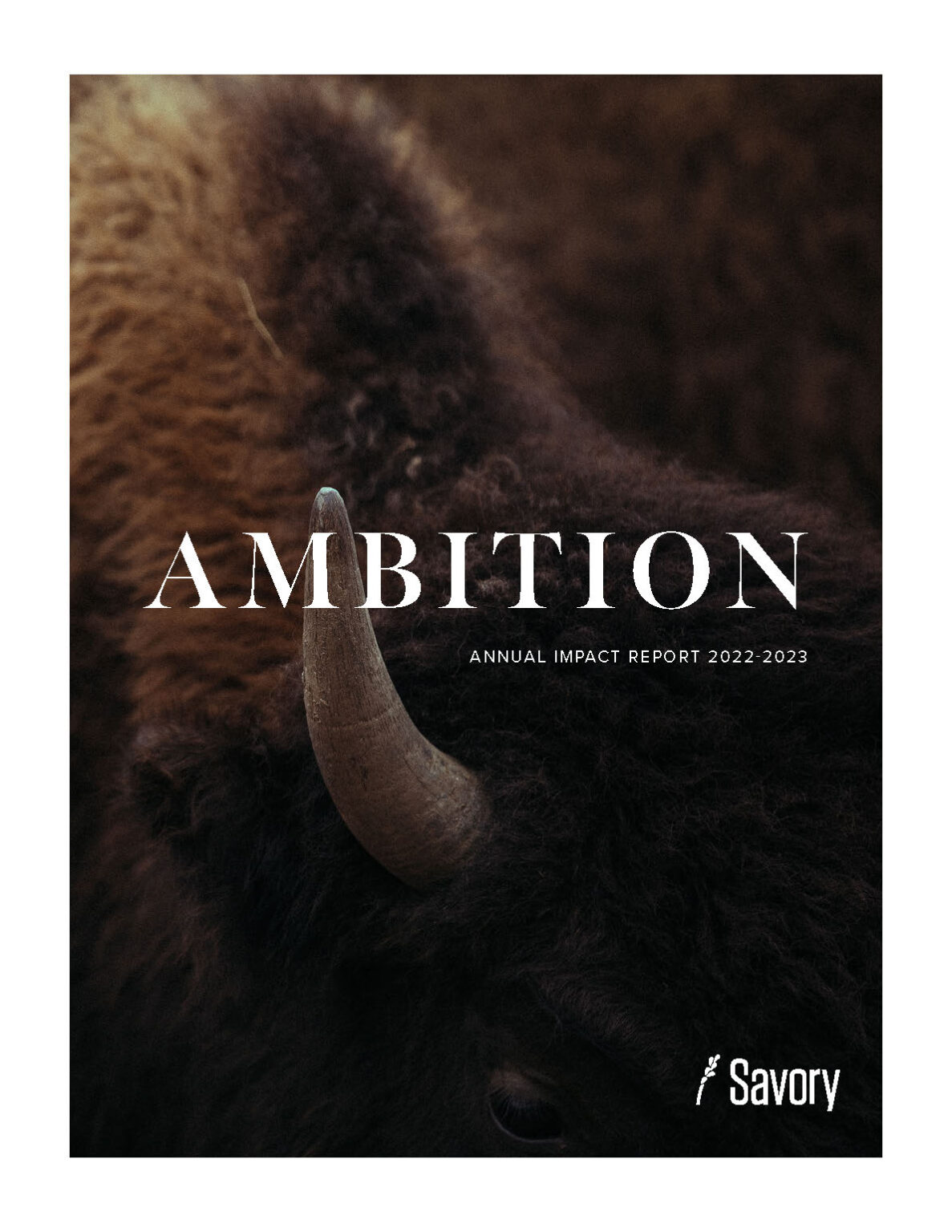 Cover of an annual report with close-up of a bison horn and the word "Ambition" as the title
