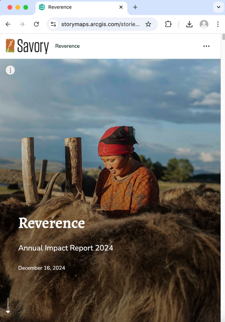 tablet screenshot of the 2024 Savory Annual Report
