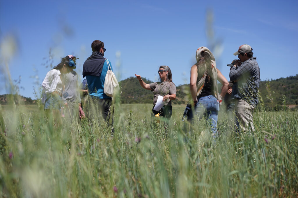 EOV Verifiers in the field