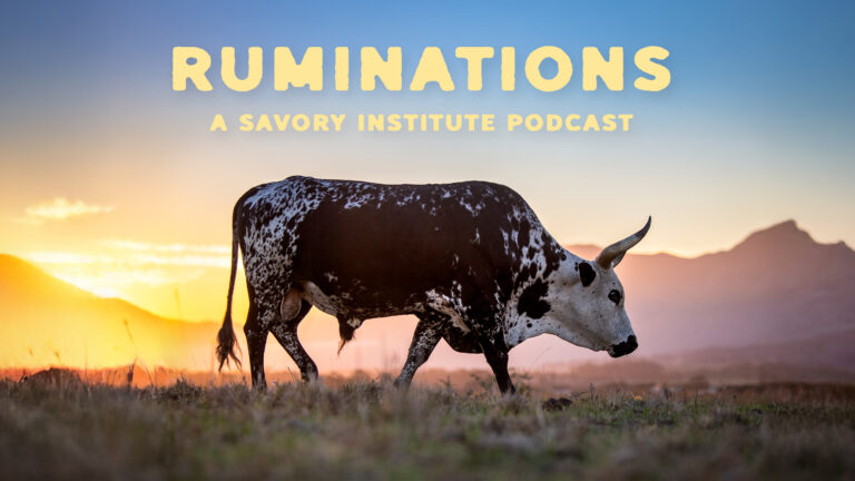 Ruminations cover art (youtube)