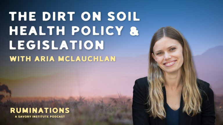 Podcast with Aria McLauchlan of Land Core