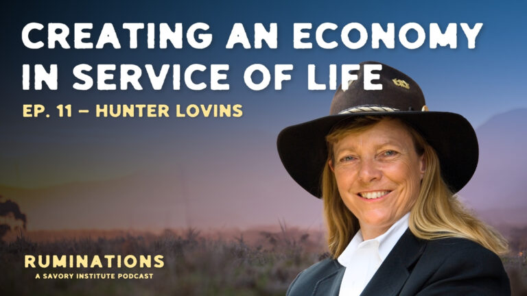 Hunter Lovins on the Ruminations podcast