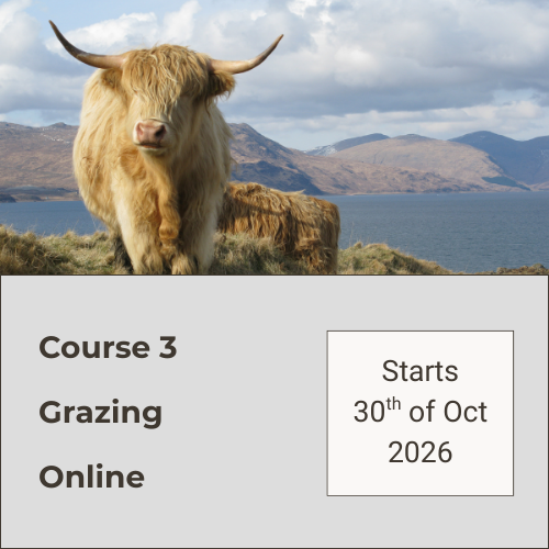 Course 3 Online 713-IE UK