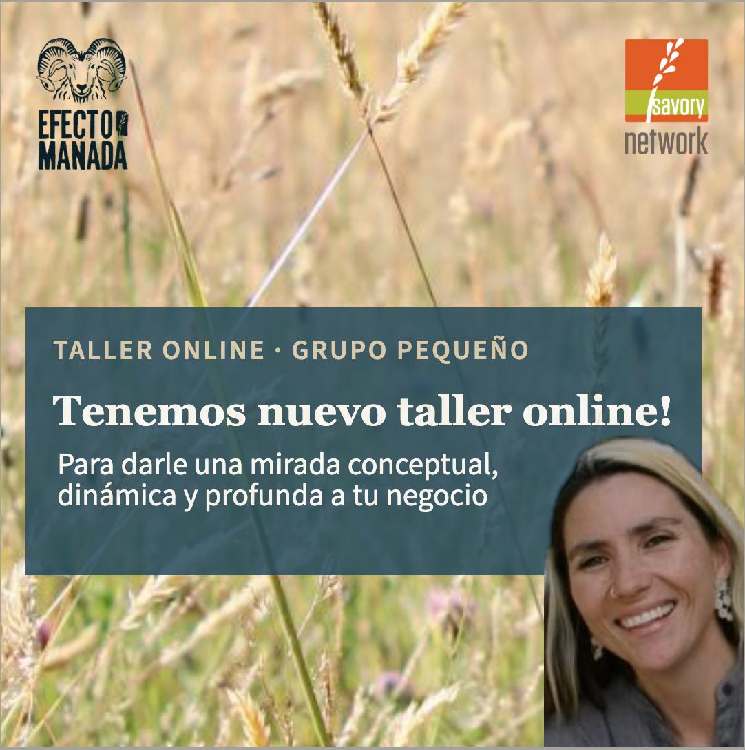 Taller pre plan finan - Isidora Molina